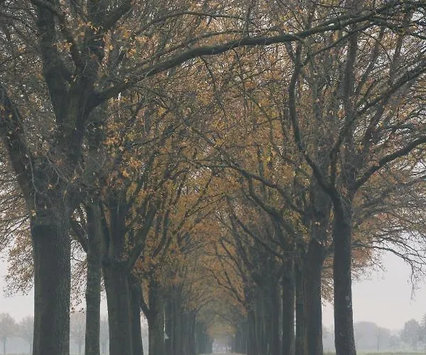 Vakantie-appartement Oppe Donck Met Sauna *