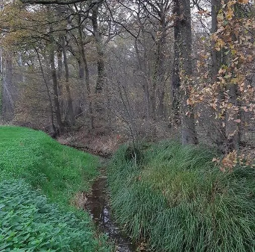 Vakantie-appartement Oppe Donck Met Sauna 아파트 Posterholt